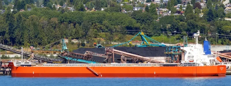 PAREA Bulk Carrier IMO 9433652 photo 2