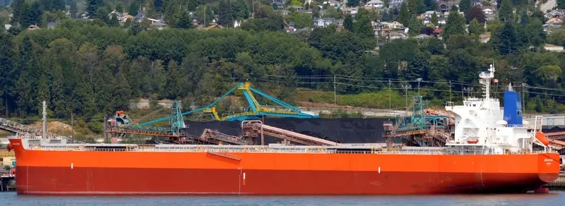 PAREA Bulk Carrier IMO 9433652 photo 3