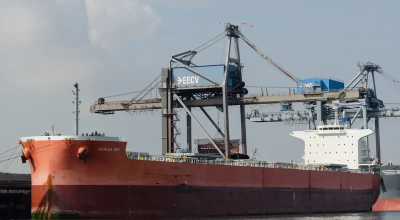 PAREA Bulk Carrier IMO 9433652 photo 5