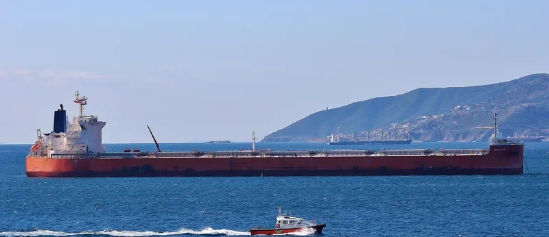 PAREA Bulk Carrier IMO 9433652 photo 6
