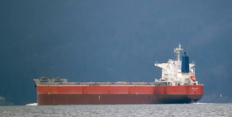 PAREA Bulk Carrier IMO 9433652 photo 7