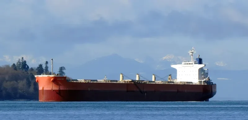 PAREA Bulk Carrier IMO 9433652 photo 9