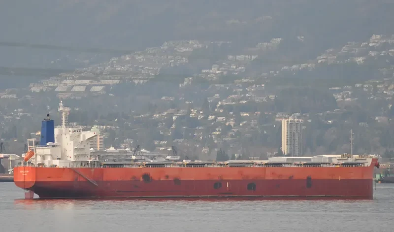 PAREA Bulk Carrier IMO 9433652 photo 10
