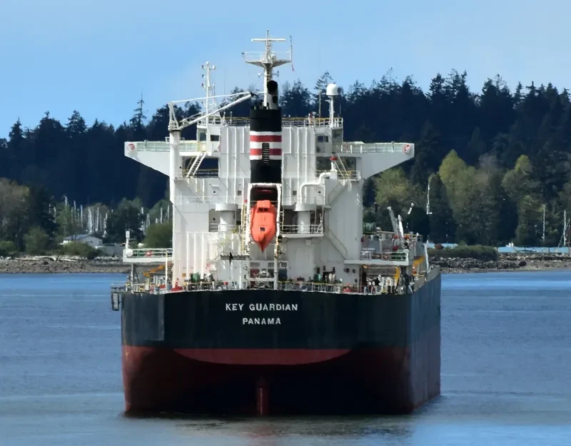 KEY GUARDIAN Bulk Carrier IMO 9433664 photo 2