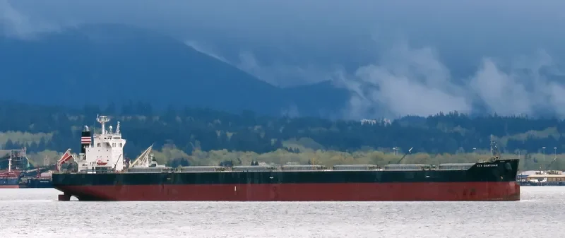 KEY GUARDIAN Bulk Carrier IMO 9433664 photo 4