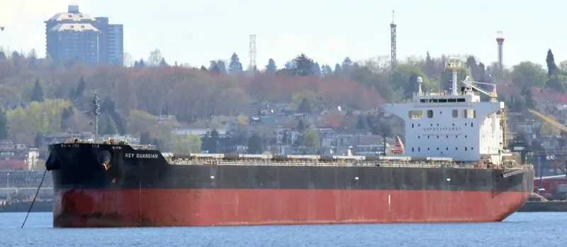KEY GUARDIAN Bulk Carrier IMO 9433664 photo 6