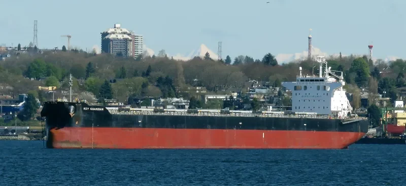 KEY GUARDIAN Bulk Carrier IMO 9433664 photo 7