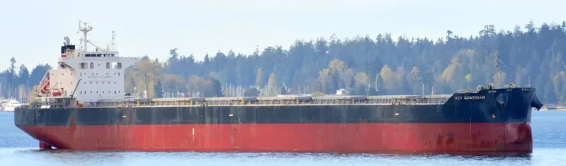 KEY GUARDIAN Bulk Carrier IMO 9433664 photo 8