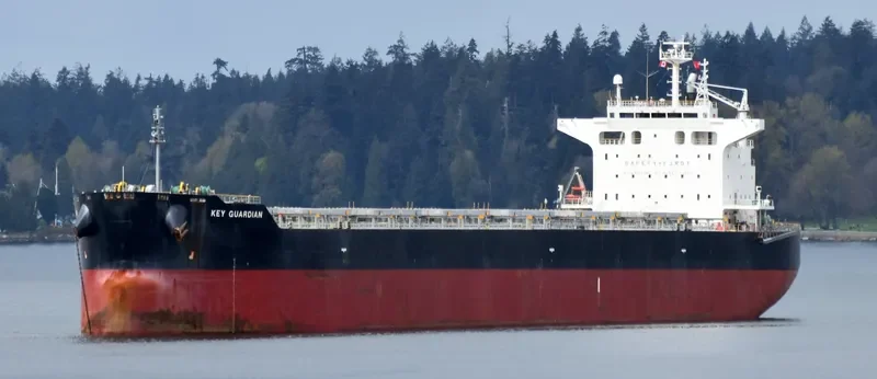 KEY GUARDIAN Bulk Carrier IMO 9433664 photo 9