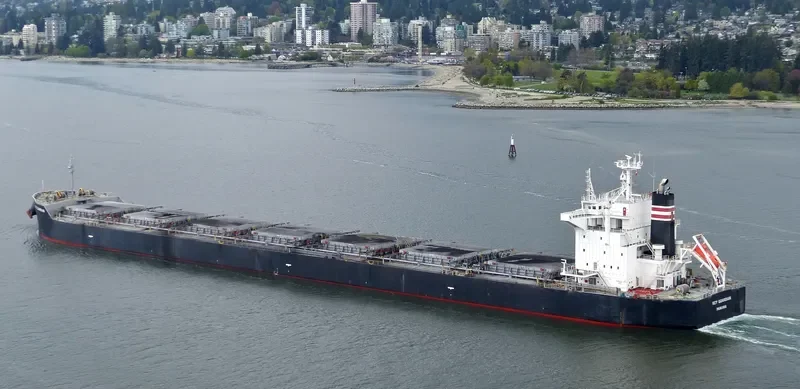 KEY GUARDIAN Bulk Carrier IMO 9433664 photo 10