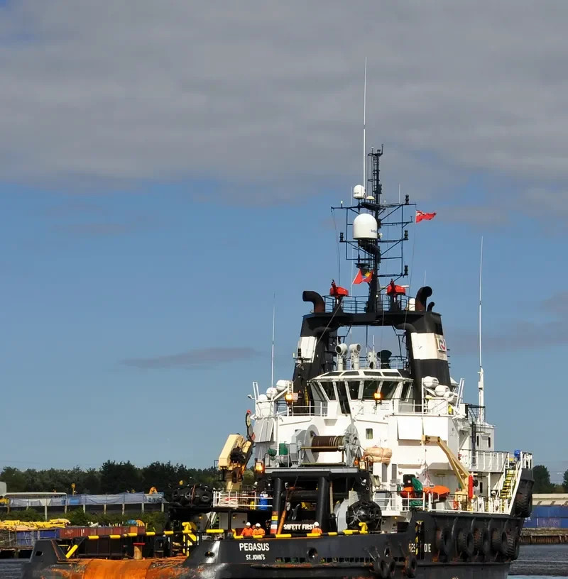 PEGASUS General Cargo IMO 9433743 photo 6