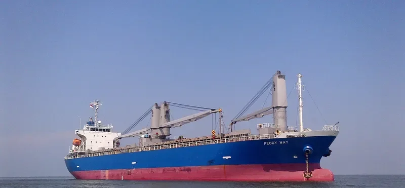 SEACON OSAKA General Cargo IMO 9433872
