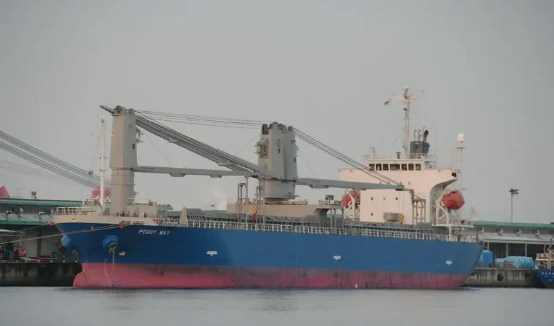 SEACON OSAKA General Cargo IMO 9433872 photo 8