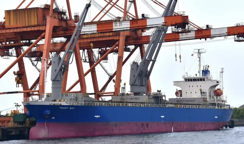 SEACON OSAKA General Cargo IMO 9433872 photo 10