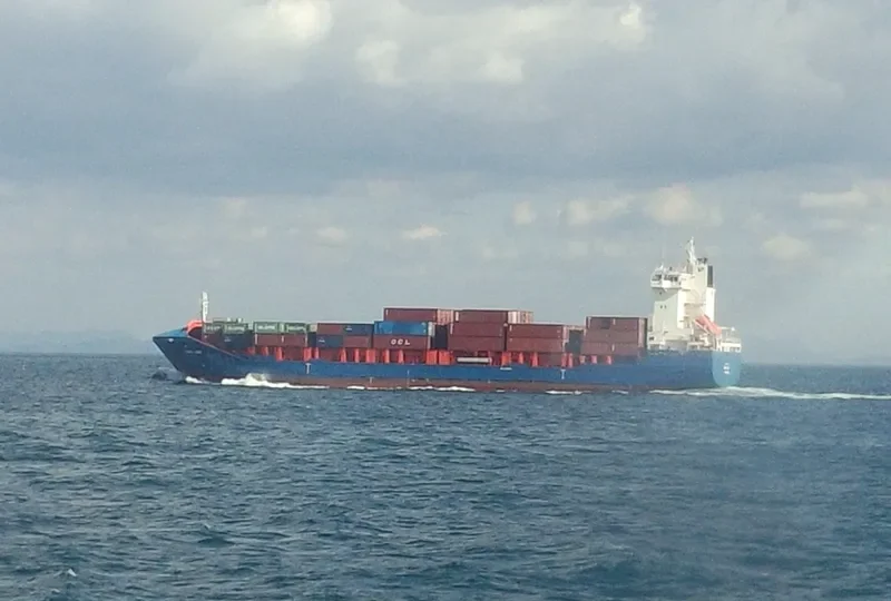 PACIFIC SINGAPORE Container Ship IMO 9433937 photo 2