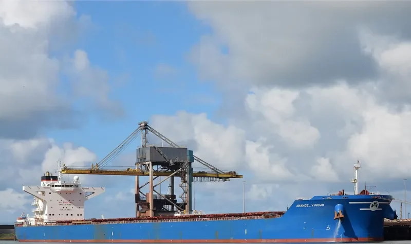 MARAN VIGOUR Bulk Carrier IMO 9434395 photo 8