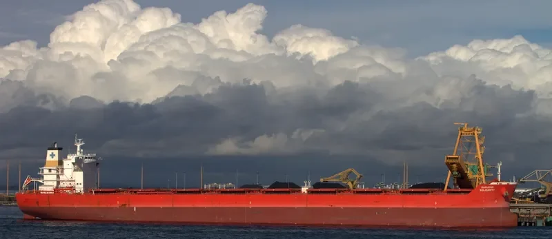 SAMJOHN SOLIDARITY Bulk Carrier IMO 9434424 photo 2