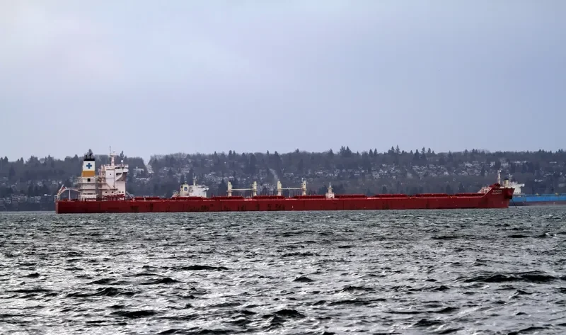SAMJOHN SOLIDARITY Bulk Carrier IMO 9434424 photo 4