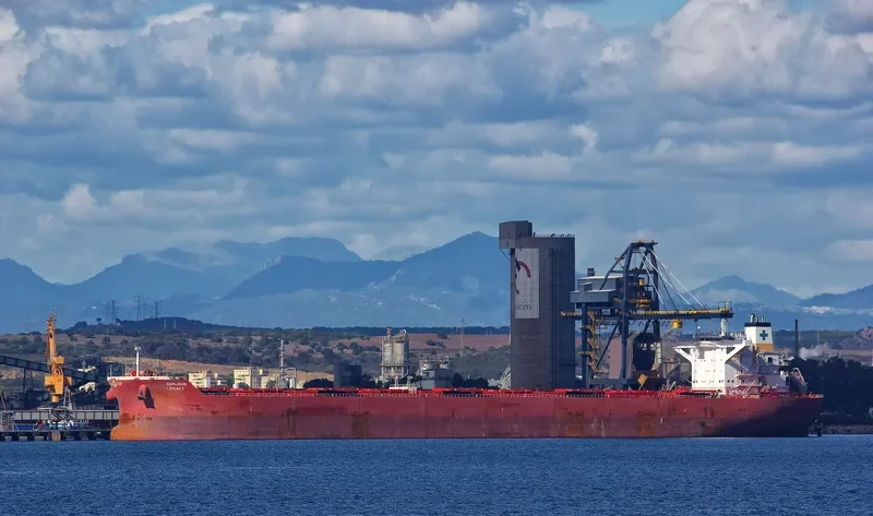 SAMJOHN LEGACY Bulk Carrier IMO 9434436 photo 3