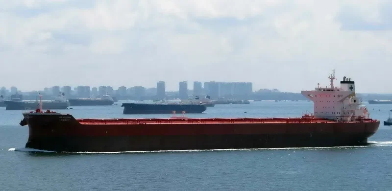 SAMJOHN LEGACY Bulk Carrier IMO 9434436 photo 9