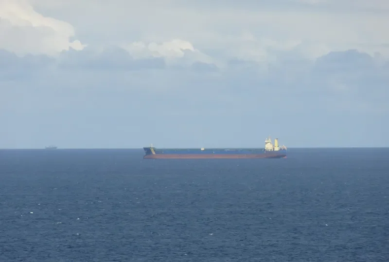 MINERAL DESTELBERGEN Bulk Carrier IMO 9434448 photo 2