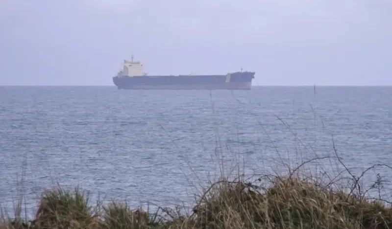 MINERAL DESTELBERGEN Bulk Carrier IMO 9434448 photo 5