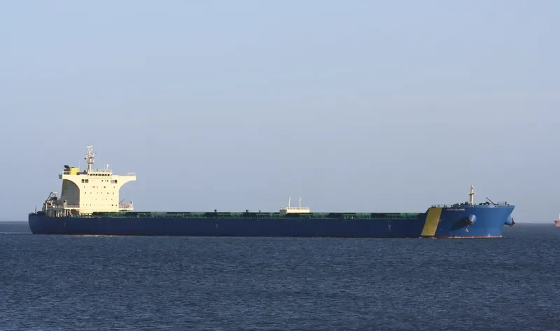 MINERAL DESTELBERGEN Bulk Carrier IMO 9434448 photo 7