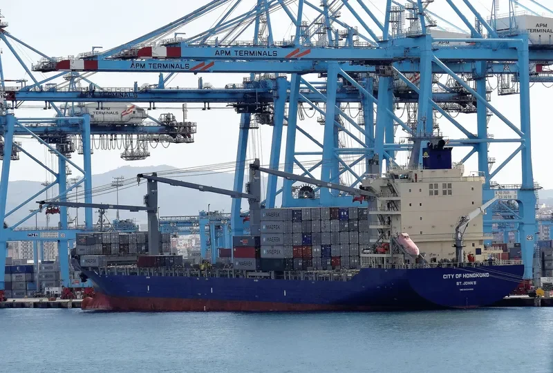MSC SAMIRA III Container Ship IMO 9434462 photo 3
