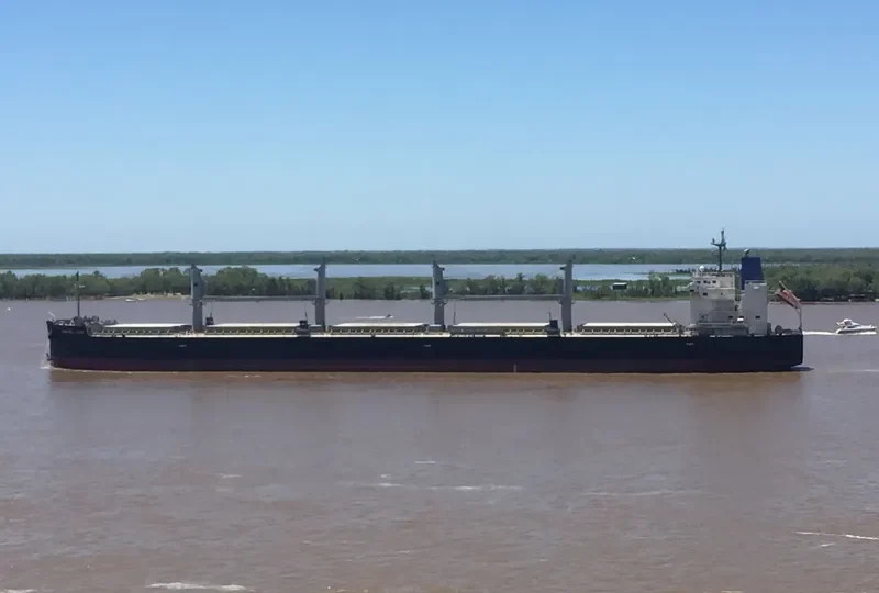 AMSTEL LION Bulk Carrier IMO 9434498