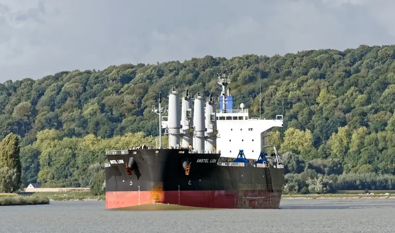 AMSTEL LION Bulk Carrier IMO 9434498 photo 3