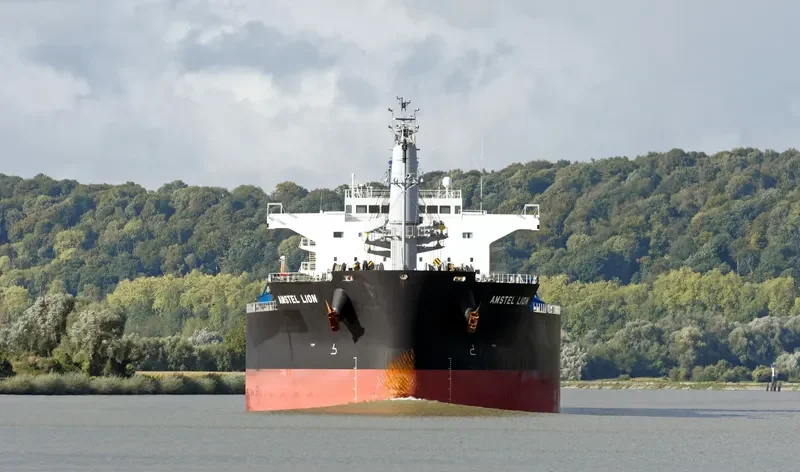 AMSTEL LION Bulk Carrier IMO 9434498 photo 4