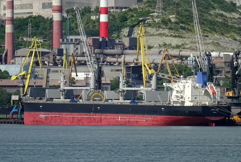 AMSTEL LION Bulk Carrier IMO 9434498 photo 6