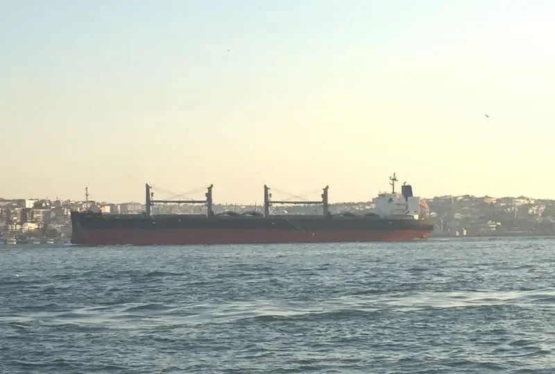 AMSTEL LION Bulk Carrier IMO 9434498 photo 7