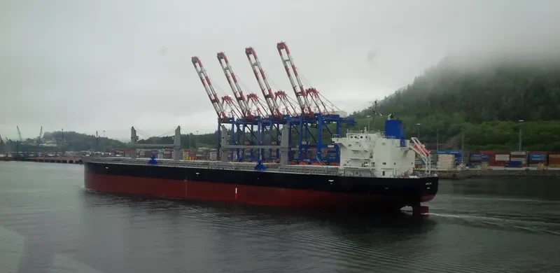 AMSTEL LION Bulk Carrier IMO 9434498 photo 8