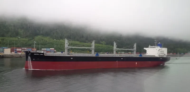 AMSTEL LION Bulk Carrier IMO 9434498 photo 9
