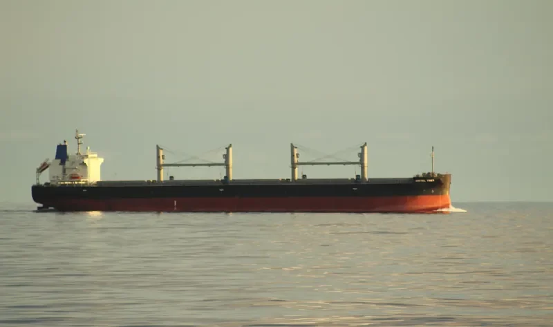 AMSTEL TIGER Bulk Carrier IMO 9434515