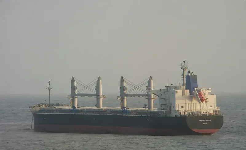 AMSTEL TIGER Bulk Carrier IMO 9434515 photo 3