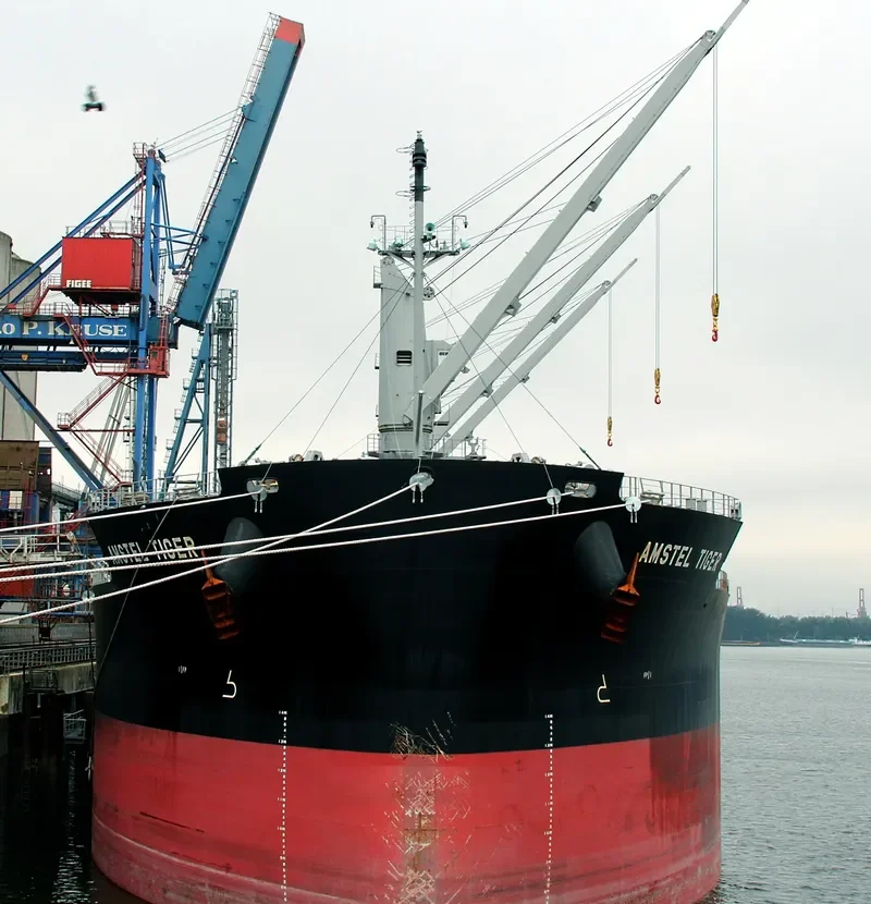 AMSTEL TIGER Bulk Carrier IMO 9434515 photo 7