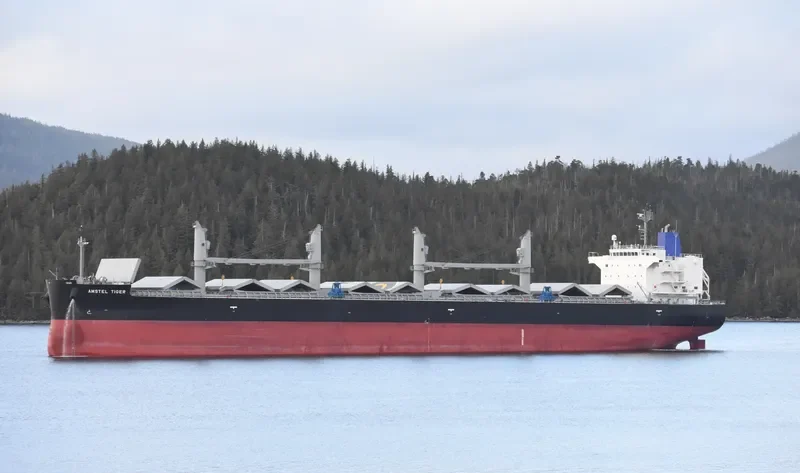 AMSTEL TIGER Bulk Carrier IMO 9434515 photo 10