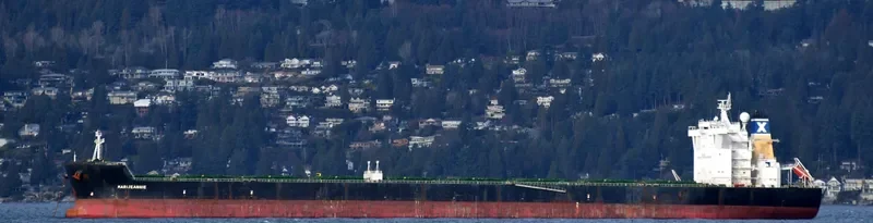 MARIJEANNIE Bulk Carrier IMO 9434565 photo 2