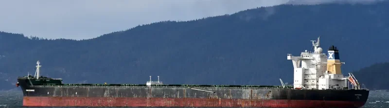 MARIJEANNIE Bulk Carrier IMO 9434565 photo 3
