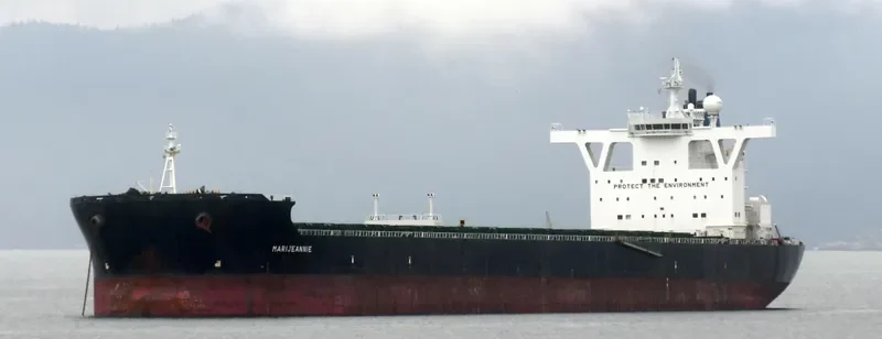 MARIJEANNIE Bulk Carrier IMO 9434565 photo 4