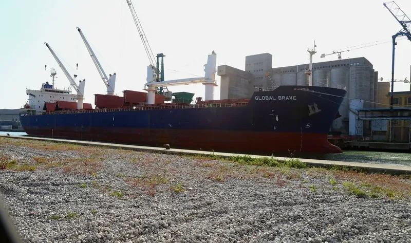 GLOBAL BRAVE Bulk Carrier IMO 9434606 photo 4