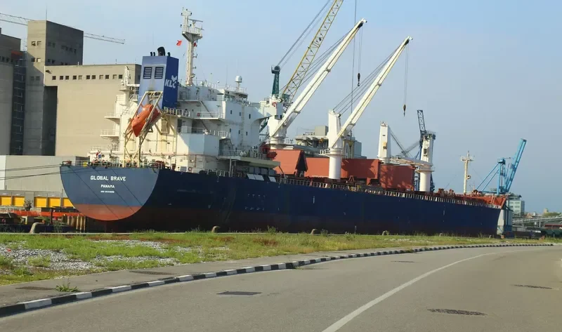 GLOBAL BRAVE Bulk Carrier IMO 9434606 photo 5