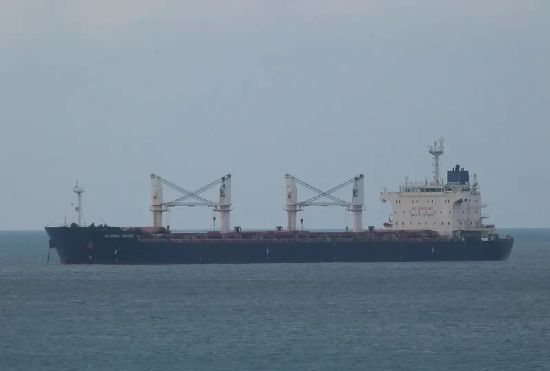 GLOBAL BRAVE Bulk Carrier IMO 9434606 photo 6
