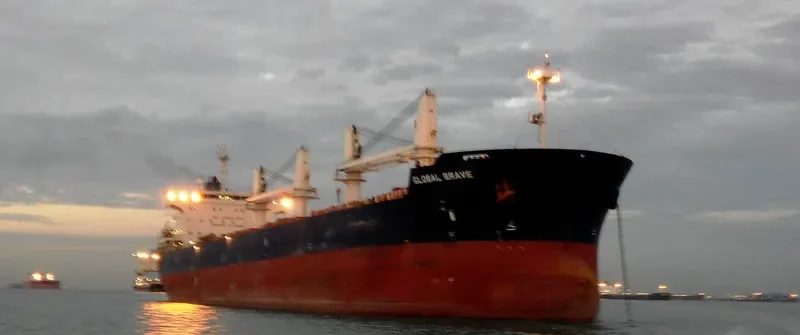 GLOBAL BRAVE Bulk Carrier IMO 9434606 photo 7