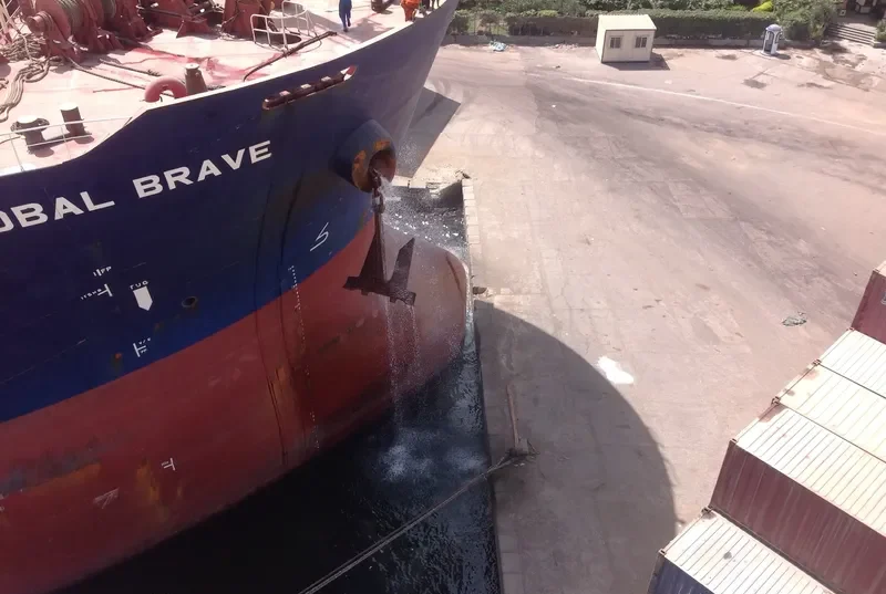 GLOBAL BRAVE Bulk Carrier IMO 9434606 photo 8