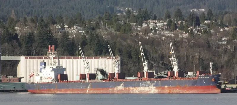 GLOBAL BRAVE Bulk Carrier IMO 9434606 photo 9