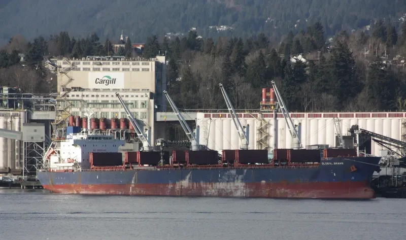 GLOBAL BRAVE Bulk Carrier IMO 9434606 photo 10