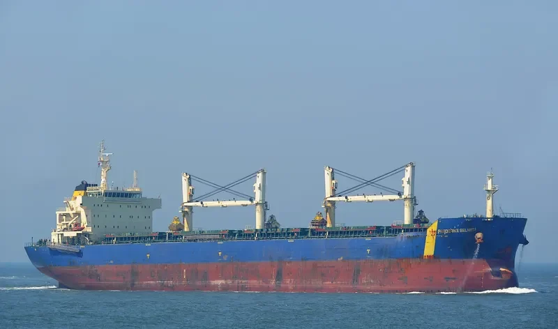 VAN FORTUNE Bulk Carrier IMO 9434711 photo 5